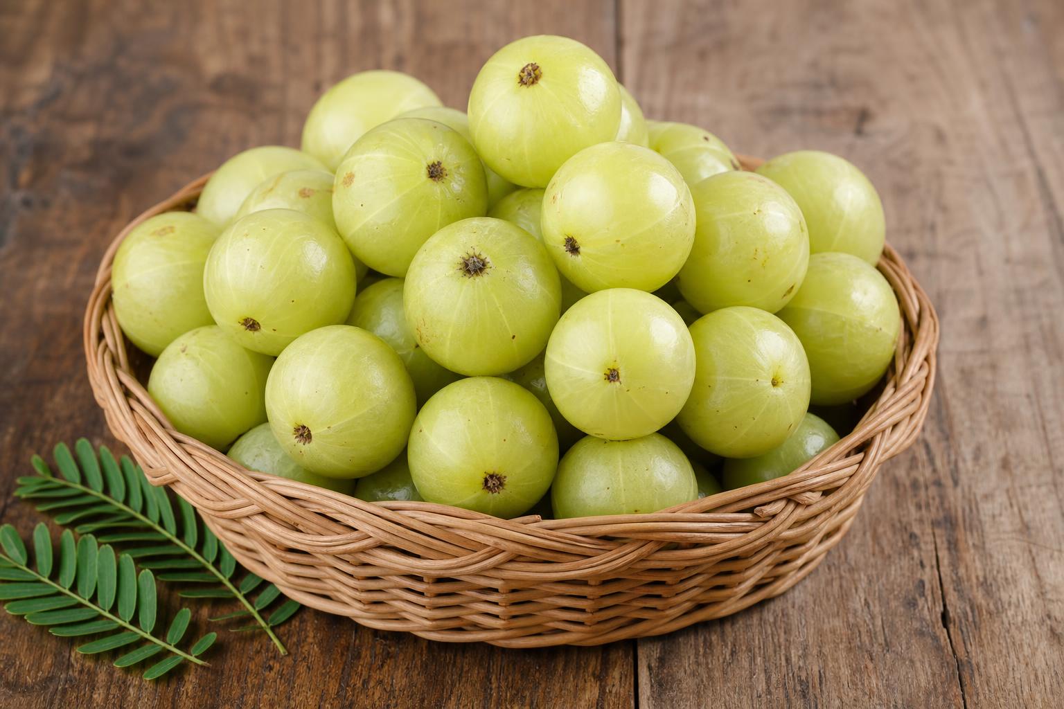 Amla — Fresh harvest in basket